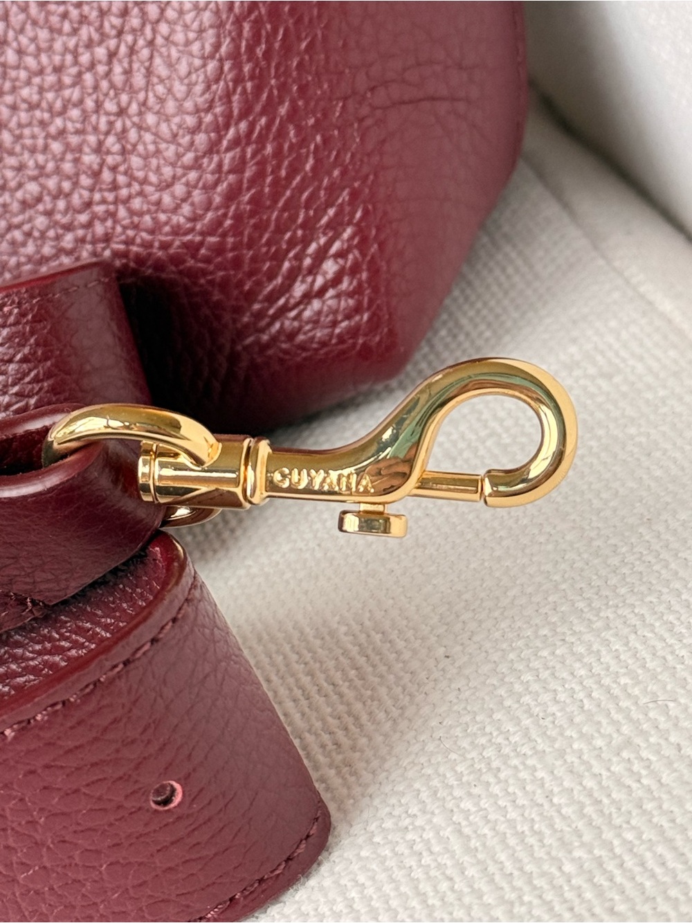 Cuyana Mini Easy Zipper Tote Bag in Cherry - Picture 6 of 6